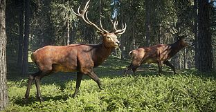 theHunter: Call of the Wild - 2019 Edition