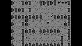 Monster Capture King