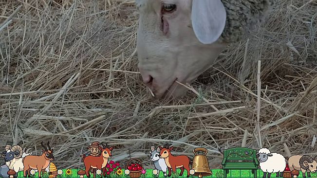 Desktop Cozy Sheep