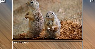 Super Jigsaw Puzzle: Generations - Dogs Puzzles