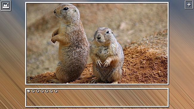 Super Jigsaw Puzzle: Generations - Dogs Puzzles