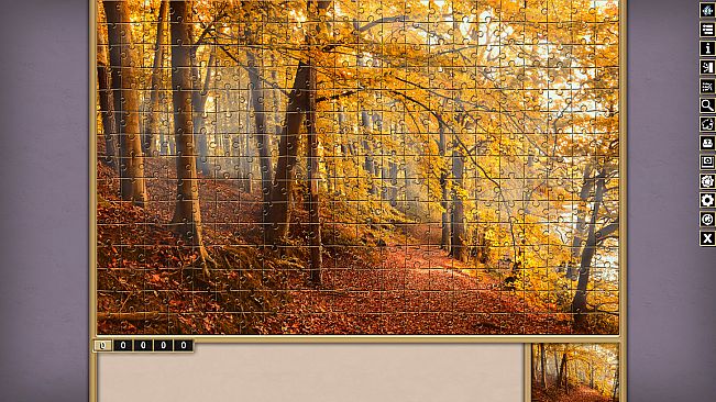 Pixel Puzzles Traditional Jigsaw Puzzles