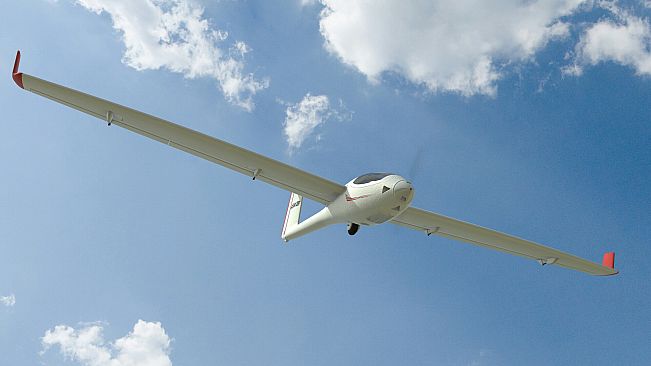 RealFlight Evolution - 2024 Year Content Pass