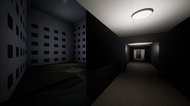 The Backrooms Recorded