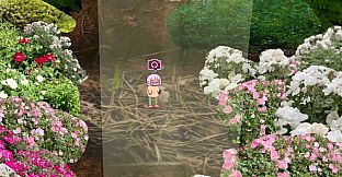 Tree Trunk Brook - Suggested donation