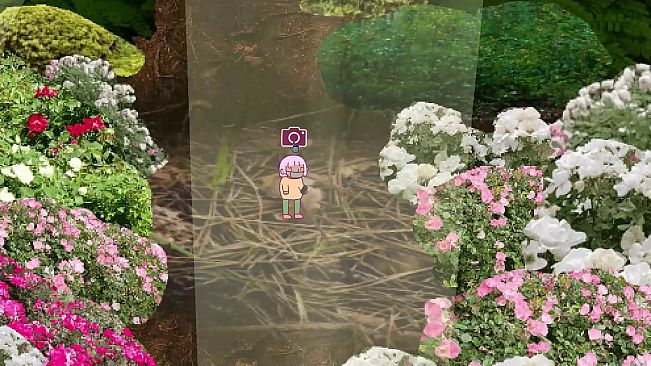 Tree Trunk Brook - Suggested donation