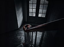 Hide and Seek with Noah