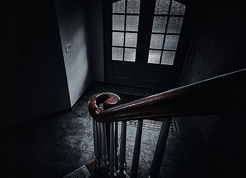 Hide and Seek with Noah