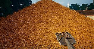 A Needle In a Haystack