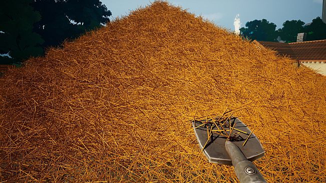 A Needle In a Haystack