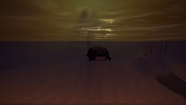 Florida Simulator 1986