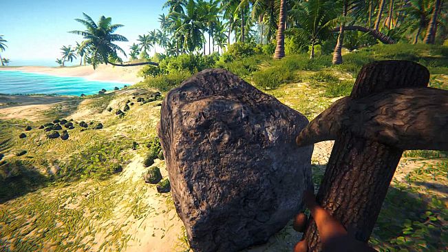 Stranded in Paradise
