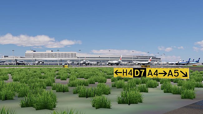 X-Plane 12 Add-on: DarkBlue Scenery - New Chitose Intl Airport