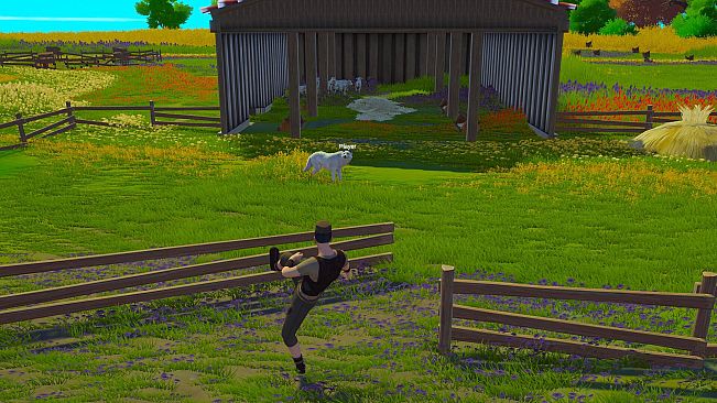 SHEEP HAPPENS