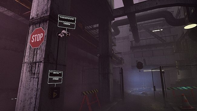 Detective - Minerva Case