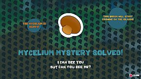 Shrommzzz: Mushroom Foraging