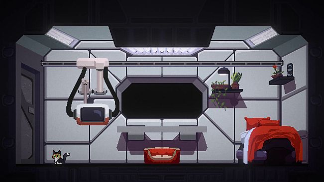 The Last Cat in the Universe