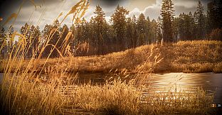 BULT: Hunting simulator