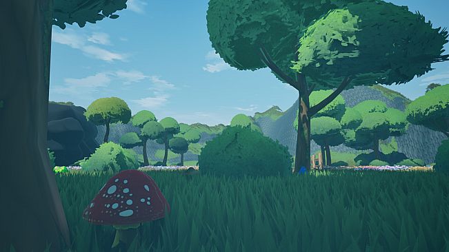 Mushroom Collector