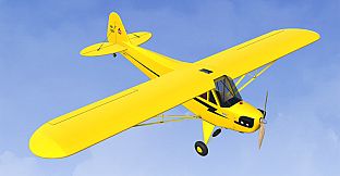 RealFlight Evolution - 2025 Year Content Pass