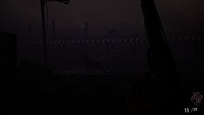 Centralia: Homecoming