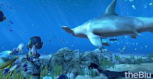 theBlu - Hammerhead Cove