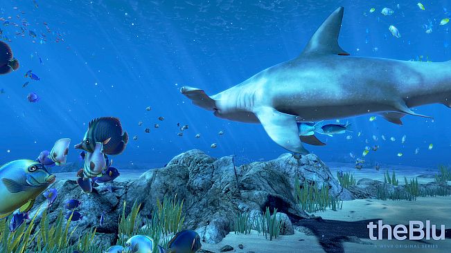 theBlu - Hammerhead Cove