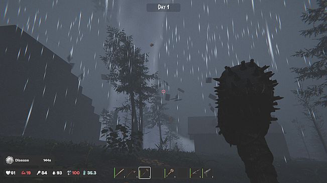 The Silent Wild