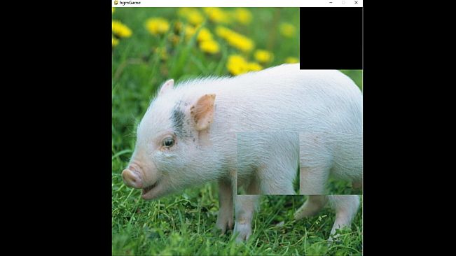 hgmGame-pig