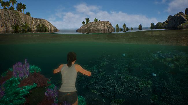 Treasures of the Sunken Ship