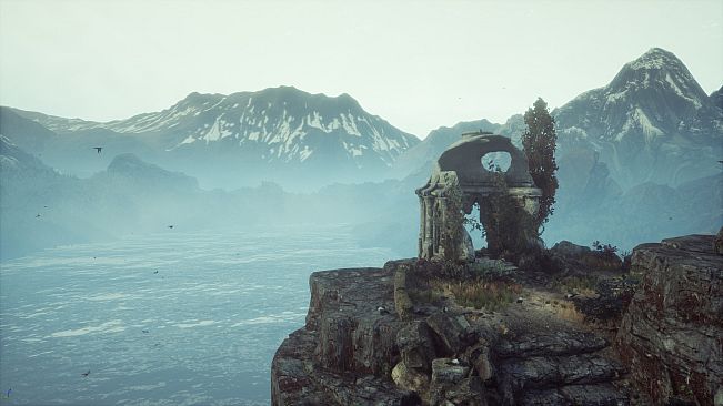 The Dead Tree of Ranchiuna