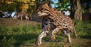 Planet Zoo: Americas Animal Pack