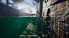 Fish Swarm: Within Inches