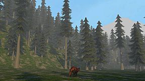 When the Embers Wake