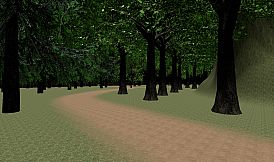 Playtime with Hoogie