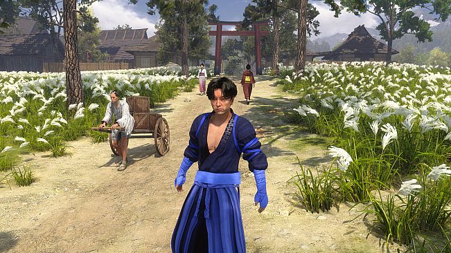Red Masked Ronin: Desires and Shadows