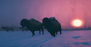 Psycho Partisans: Officer Nirvana