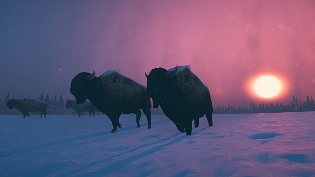 Psycho Partisans: Officer Nirvana