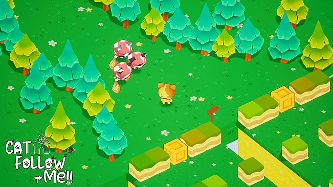 Cat Follow Me