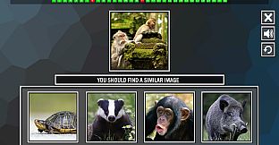 Repeat the image: Animals