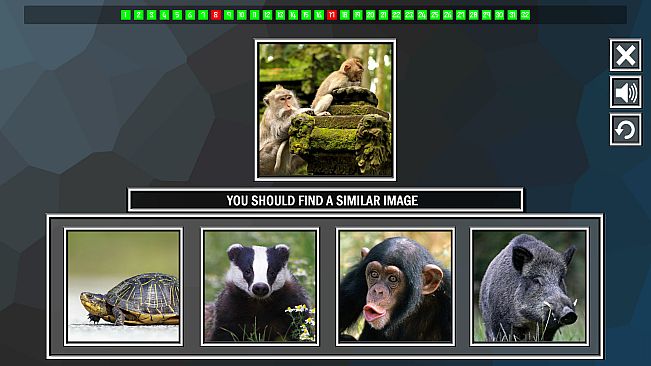 Repeat the image: Animals