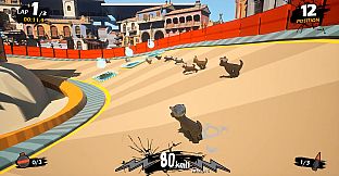 Chihuahua Racing