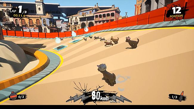 Chihuahua Racing