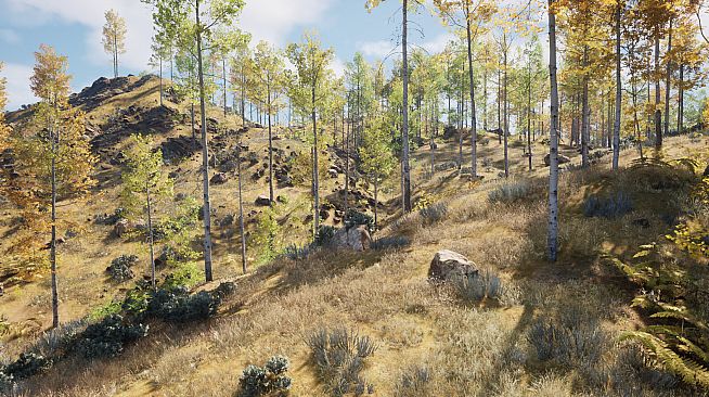 ISLAND：THE LAST