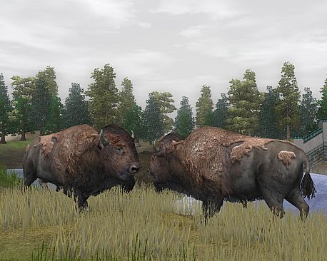 Wildlife Park 2 - Crazy Zoo