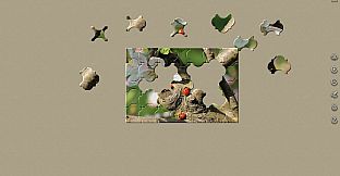 House of Jigsaw: The Best of Macro Photography