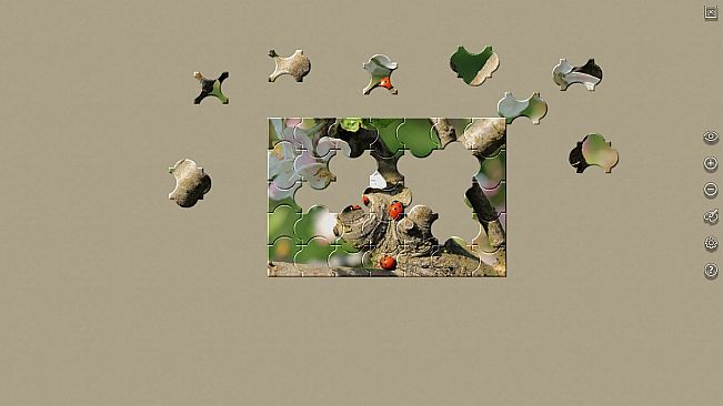 House of Jigsaw: The Best of Macro Photography