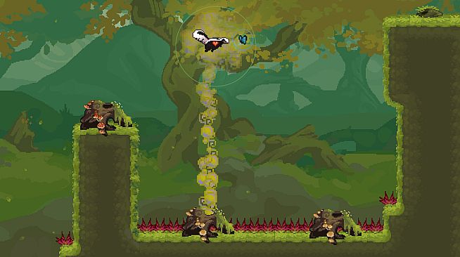 The Friendliest Skunk