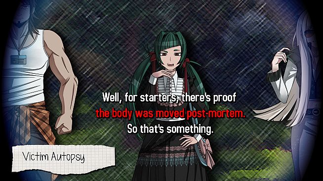 The Wonderland Killings