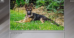 Super Jigsaw Puzzle: Generations - Dogs 3